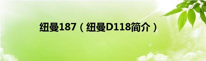 纽曼187（纽曼D118简介）