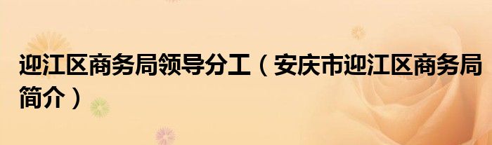 迎江区商务局领导分工（安庆市迎江区商务局简介）