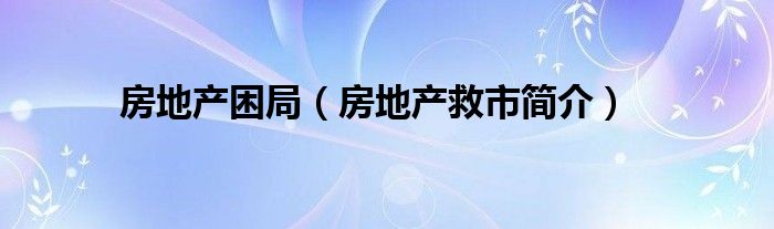 房地产困局（房地产救市简介）