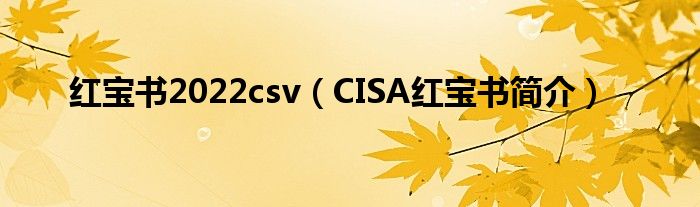 红宝书2022csv（CISA红宝书简介）