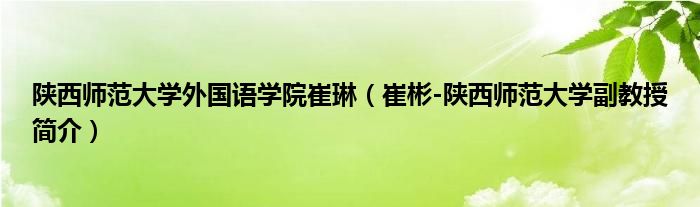 陕西师范大学外国语学院崔琳（崔彬