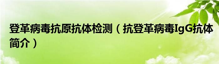 登革病毒抗原抗体检测（抗登革病毒IgG抗体简介）