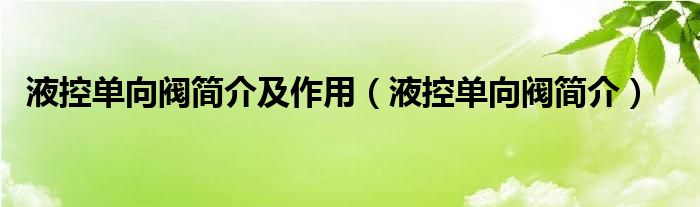 液控单向阀简介及作用（液控单向阀简介）