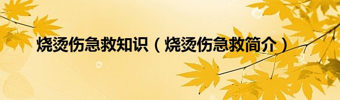 烧烫伤急救知识（烧烫伤急救简介）