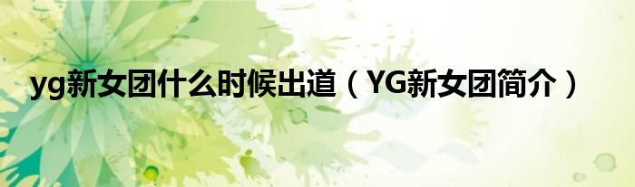 yg新女团什么时候出道（YG新女团简介）