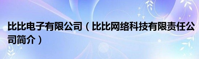 比比电子有限公司（比比网络科技有限责任公司简介）