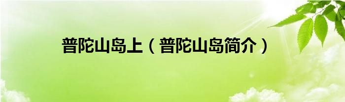 普陀山岛上（普陀山岛简介）