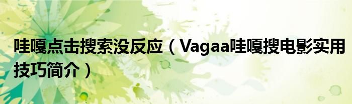 哇嘎点击搜索没反应（Vagaa哇嘎搜电影实用技巧简介）