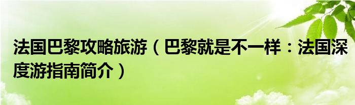 法国巴黎攻略旅游（巴黎就是不一样：法国深度游指南简介）