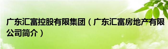 广东汇富控股有限集团（广东汇富房地产有限公司简介）