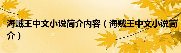 海贼王中文小说简介内容（海贼王中文小说简介）