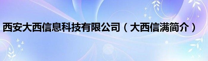 西安大西信息科技有限公司（大西信满简介）