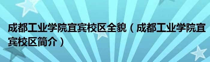 成都工业学院宜宾校区全貌（成都工业学院宜宾校区简介）