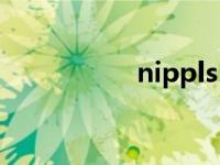 nippls（nipple简介）