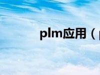 plm应用（pl/1应用程序简介）