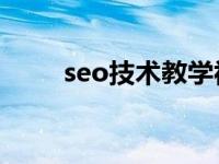 seo技术教学视频（SEO教程简介）