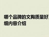 哪个品牌的文胸质量好又实惠 推荐以下这些牌子具体情况详细内容介绍