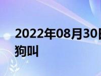 2022年08月30日消息 警方回应男子趴地学狗叫