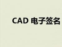 CAD 电子签名（cad电子签名生成器）