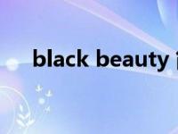 black beauty 简介（blackness简介）