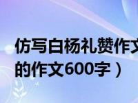 仿写白杨礼赞作文600字松树（仿写白杨礼赞的作文600字）