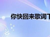 你快回来歌词下一句（你快回来歌词）