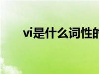 vi是什么词性的缩写（vi是什么词性）