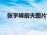 张宇峰前夫图片大全（张宇峰前夫图片）