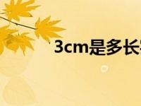 3cm是多长实物（3cm是多长）