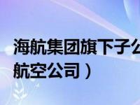 海航集团旗下子公司（海航集团旗下有哪几家航空公司）