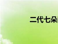 二代七朵队长（二代七朵）