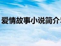 爱情故事小说简介50字（爱情故事小说简介）