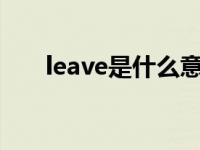 leave是什么意思（lead是什么意思）