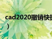 cad2020撤销快捷键（cad撤销快捷键是什么）