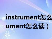 instrument怎么读音发音英语怎么说（instrument怎么读）