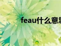 feau什么意思（Feu是什么意思）