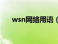 wsn网络用语（ww-网络流行语简介）