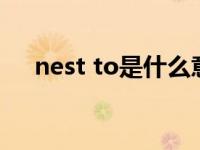 nest to是什么意思（nest是什么意思）