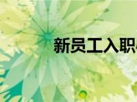 新员工入职心得体会（新员工）