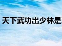 天下武功出少林是真的吗（天下武功出少林）