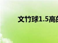 文竹球1.5高的多少一株（文竹球）