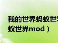 我的世界蚂蚁世界mod英文名（我的世界蚂蚁世界mod）
