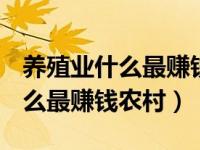养殖业什么最赚钱:且风险小（2019养殖业什么最赚钱农村）