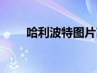 哈利波特图片高清（哈利波特图片）