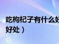 吃枸杞子有什么好处和坏处（吃枸杞子有什么好处）