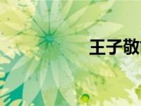 王子敬简介（王子敬）