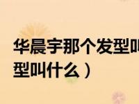 华晨宇那个发型叫什么（请问华晨宇的那种发型叫什么）