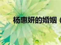 杨惠妍的婚姻（杨惠妍丈夫怎么死的）