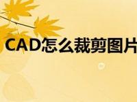 CAD怎么裁剪图片大小（cad怎么裁剪图片）