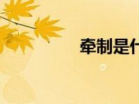 牵制是什么意思（牵制）